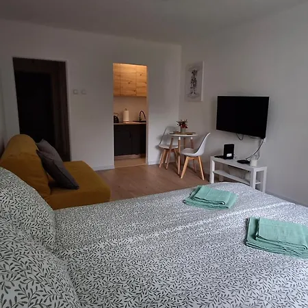 U Krzyzaka Lejlighed Malbork