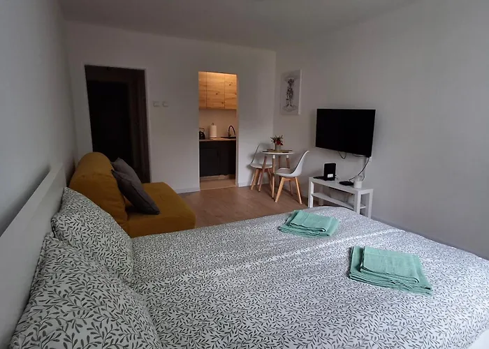 U Krzyzaka Appartamento Malbork